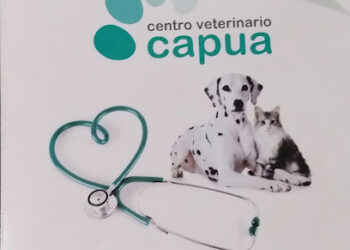 Centro Veterinario Capua SL