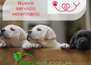 Clínica veterinaria en Guadalajara | OCAÑA