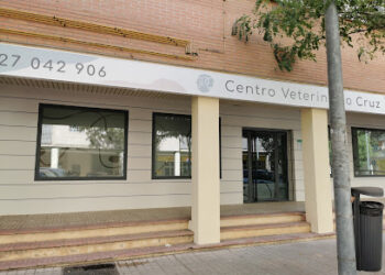 Centro Veterinario Cruz