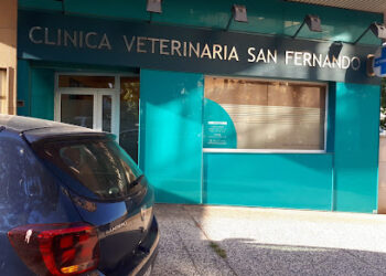 Clínica Veterinaria San Fernando