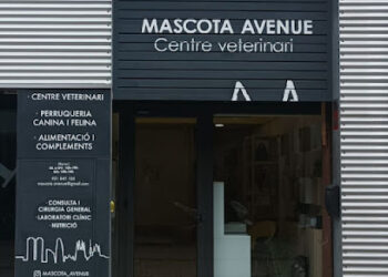 Mascota Avenue – Centro Veterinario y Peluqueria Canina/Felina Poblenou