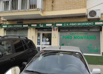 Clínica y Tienda Veterinaria Pino Montano