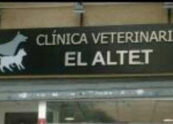 Clínica Veterinaria Más que Mascotas El Altet