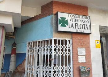 Consultorio Veterinario la Flota 1