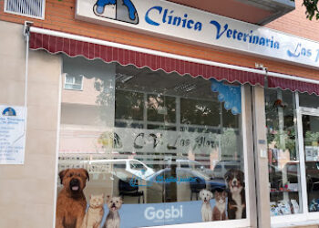 Clinica Veterinaria Las Plazas