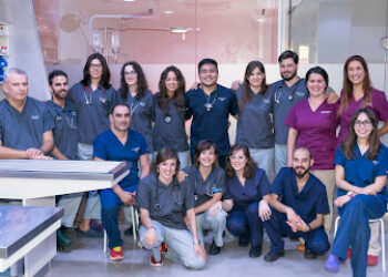 Hospital Veterinario Cruz Piedra