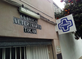 Clínica Veterinaria Tucan