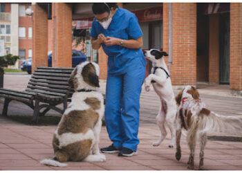 Armando Solis, La Fresneda Veterinarios