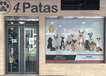 CENTRO VETERINARIO 4 PATAS C.B