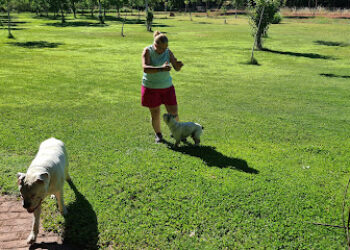 Clínica veterinaria Zoo Centro