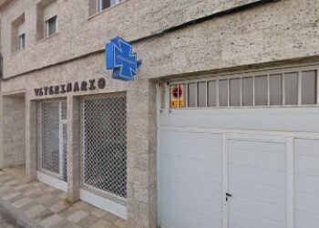 Centro Veterinario Mestizos Tarazona de la Mancha